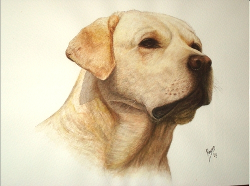 pintura de perro raza labrador