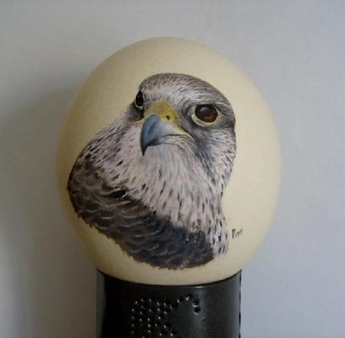 GYR FALCON PAINT