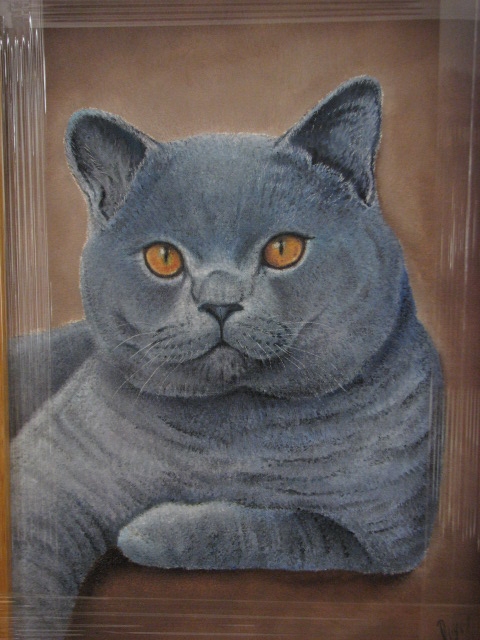 pintura de gato ruso
