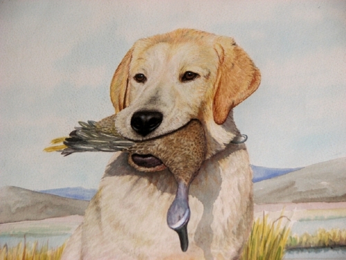 pintura de labrador con pato